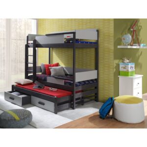 Mulvey Bunk Bed with Trundle